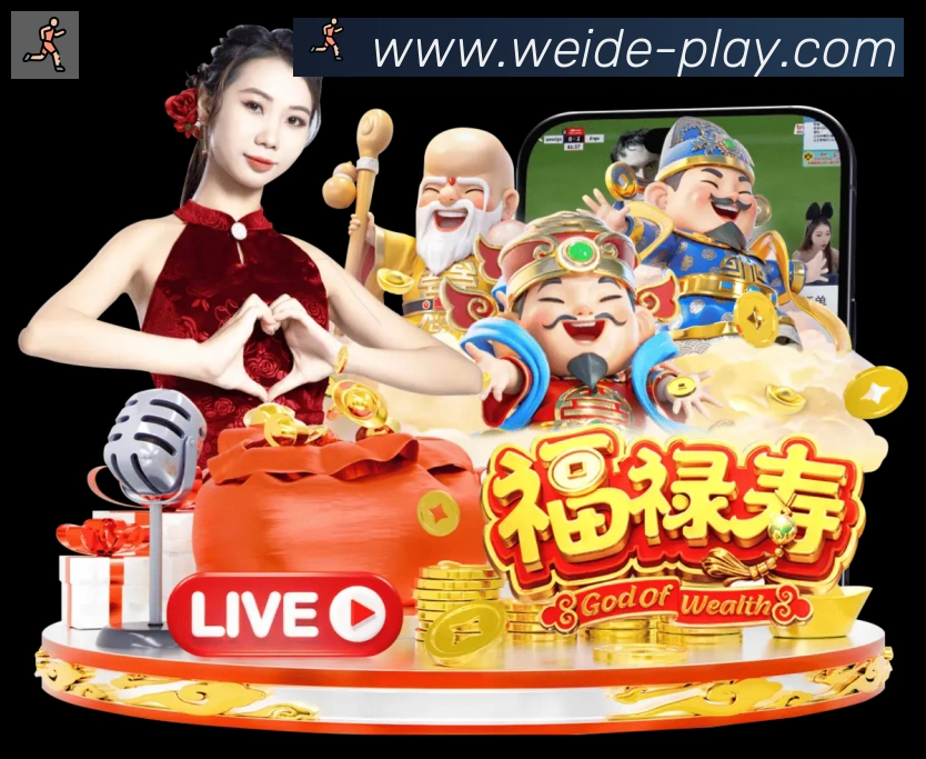 企业概况